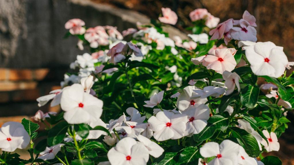 La Villetta Di Cefalu Ngoại thất bức ảnh